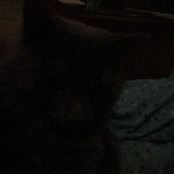 Meet your Posher, Brenda - Picture 1 of 1